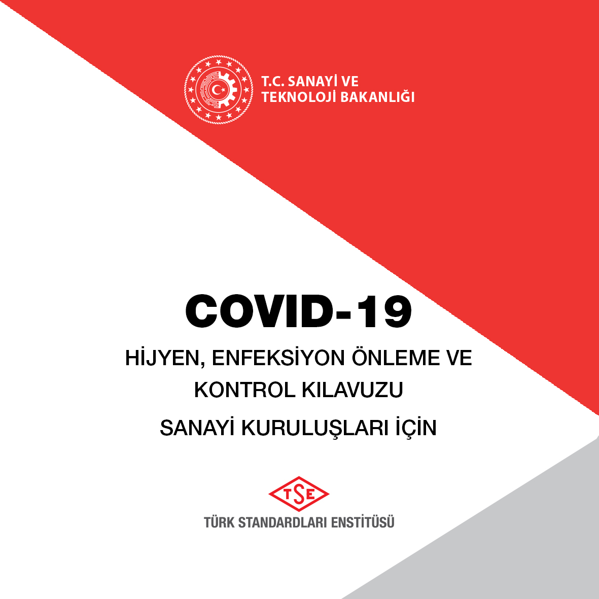 TSO COVID-19 Klavuzu